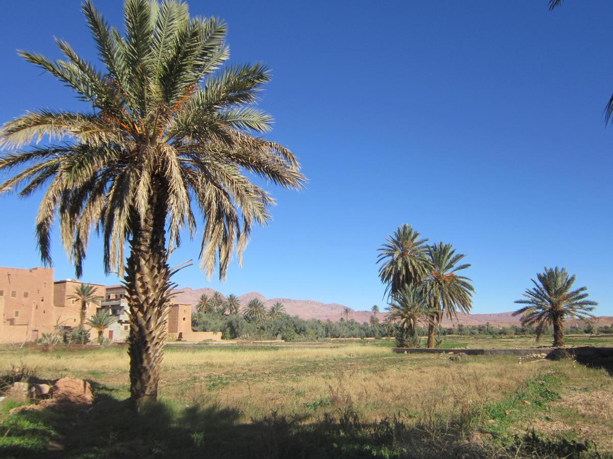 Riad Al Anwar 티네히르 외부 사진